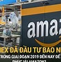 Cty Gilimex Kiện Amazon Đòi 280 Triệu Usd