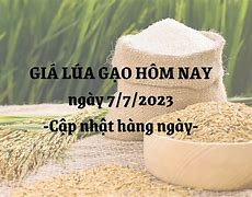 Giá Gạo Hôm Nay Tại Hà Nội