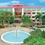 Ngành Sư Phạm Tiểu Học Đại Học Vinh