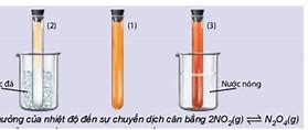 Sự Cân Bằng Chuyển Dịch