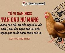 Tử Vi Tuổi Dậu 1981 Năm 2025 Nữ Mạng