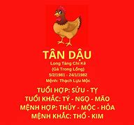 Tuổi Dậu Mr Xung Kích Là Sao Vậy